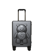 MONEYBEAR VAULT: HARDSHELL CARRY-ON LUGGAGE