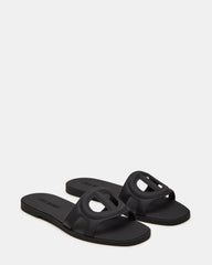 JELLIE BLACK - SM REBOOTED